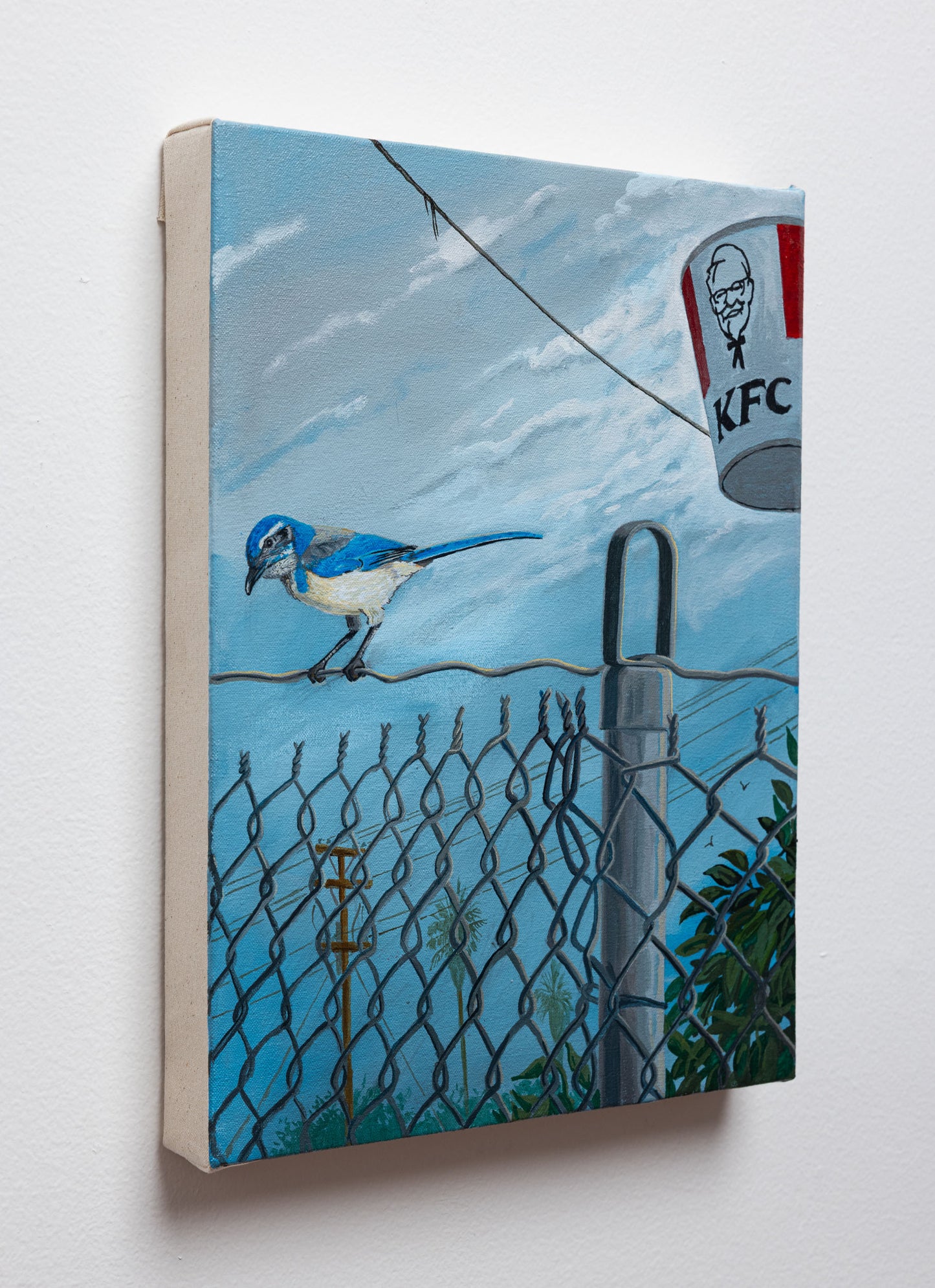 Sandow Birk - Scrub Jay - Acrylic on Canvas