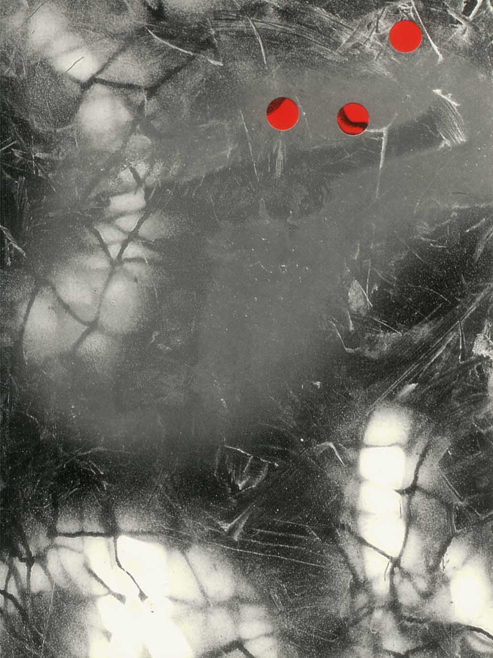 William S. Burroughs: Concrete and Buckshot