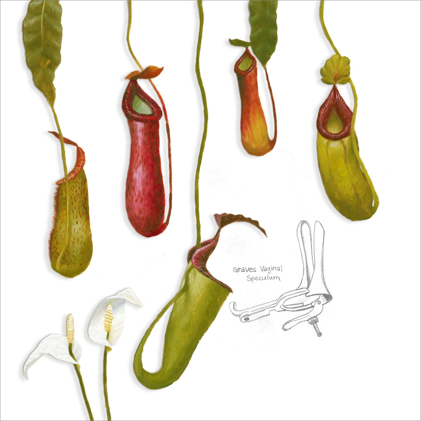 Nao Bustamante ~ Bloom Speculum Suite, 2021 ~ Edition of 10