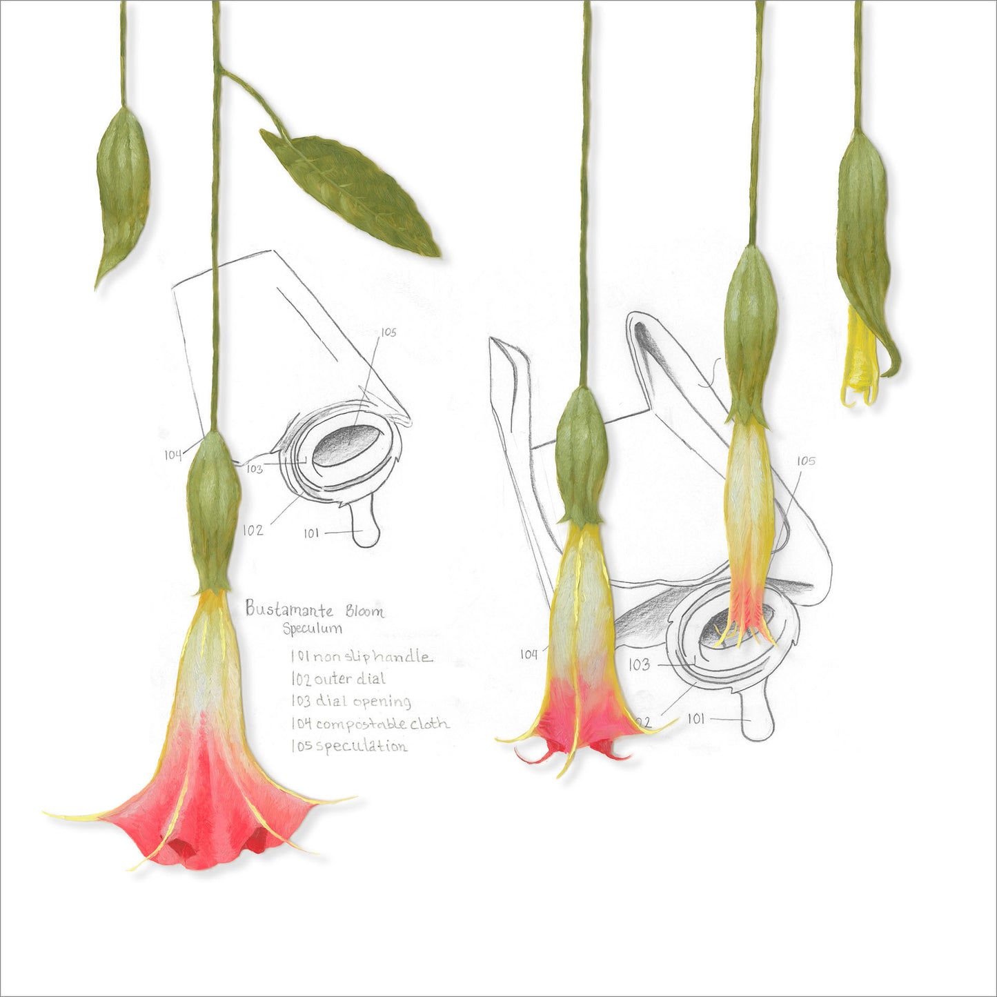 Nao Bustamante ~ Bloom Speculum Suite, 2021 ~ Edition of 10