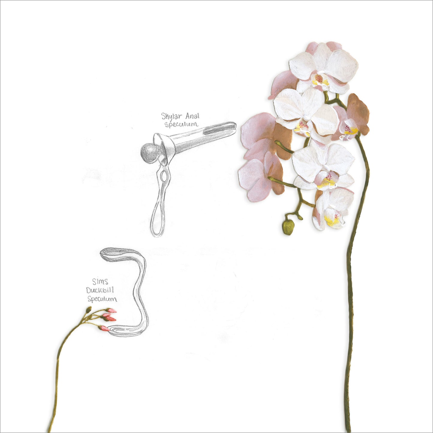 Nao Bustamante ~ Bloom Speculum Suite, 2021 ~ Edition of 10