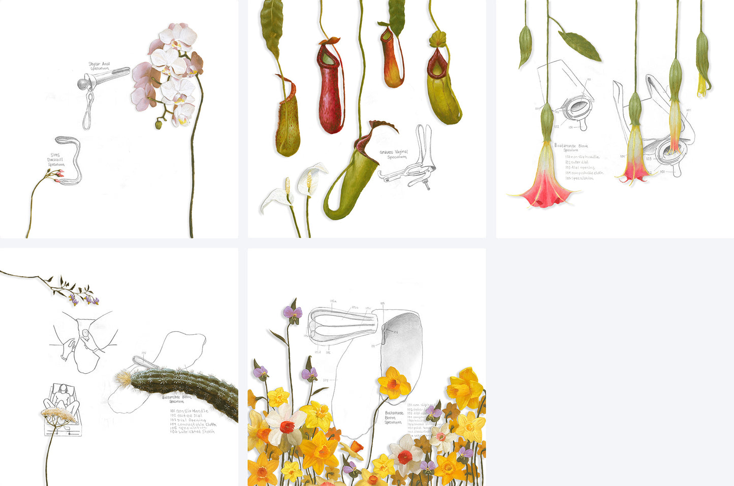 Nao Bustamante ~ Bloom Speculum Suite, 2021 ~ Edition of 10