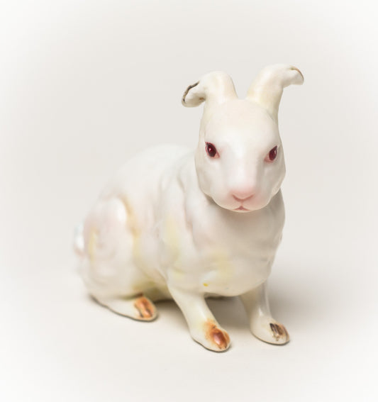 Debra Broz – White Rabbit, No. 23, 2019