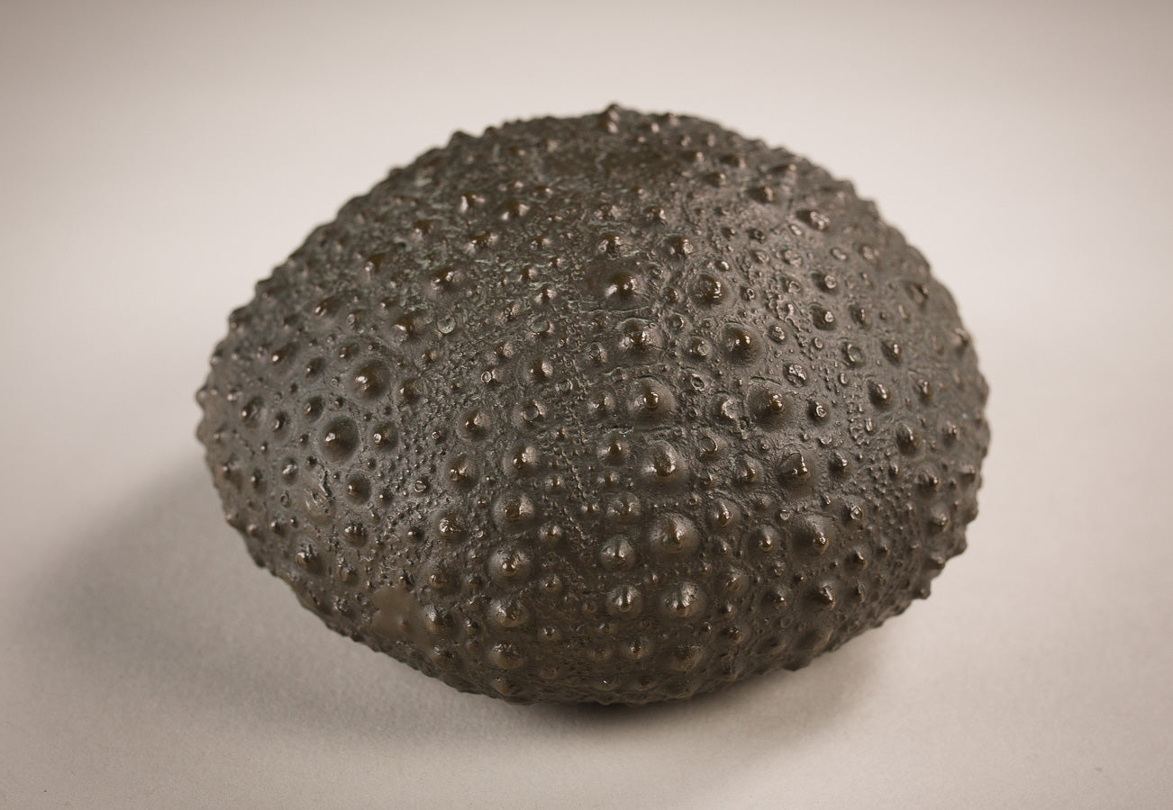 Burt Payne 3 - Bronze Sea Urchin - 1994
