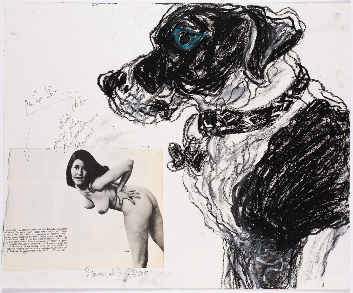 Simone Gad ~ Beau Chien Avec Rafael Et Pinup, 2018/2019