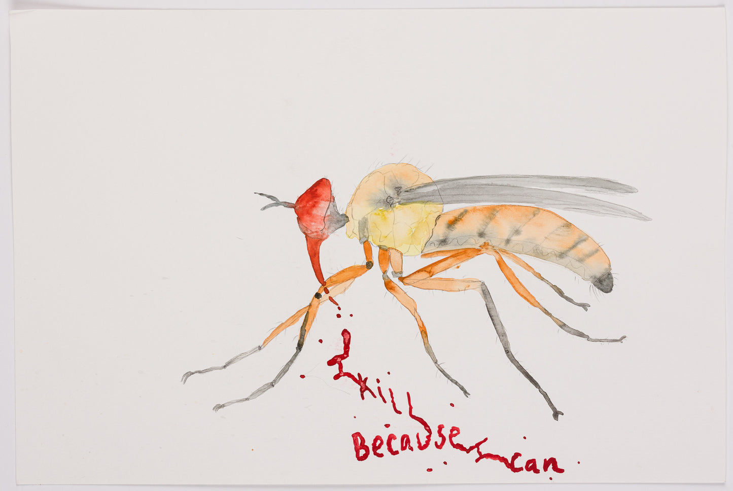 Eve Wood ~ Mosquito Creed, 2016