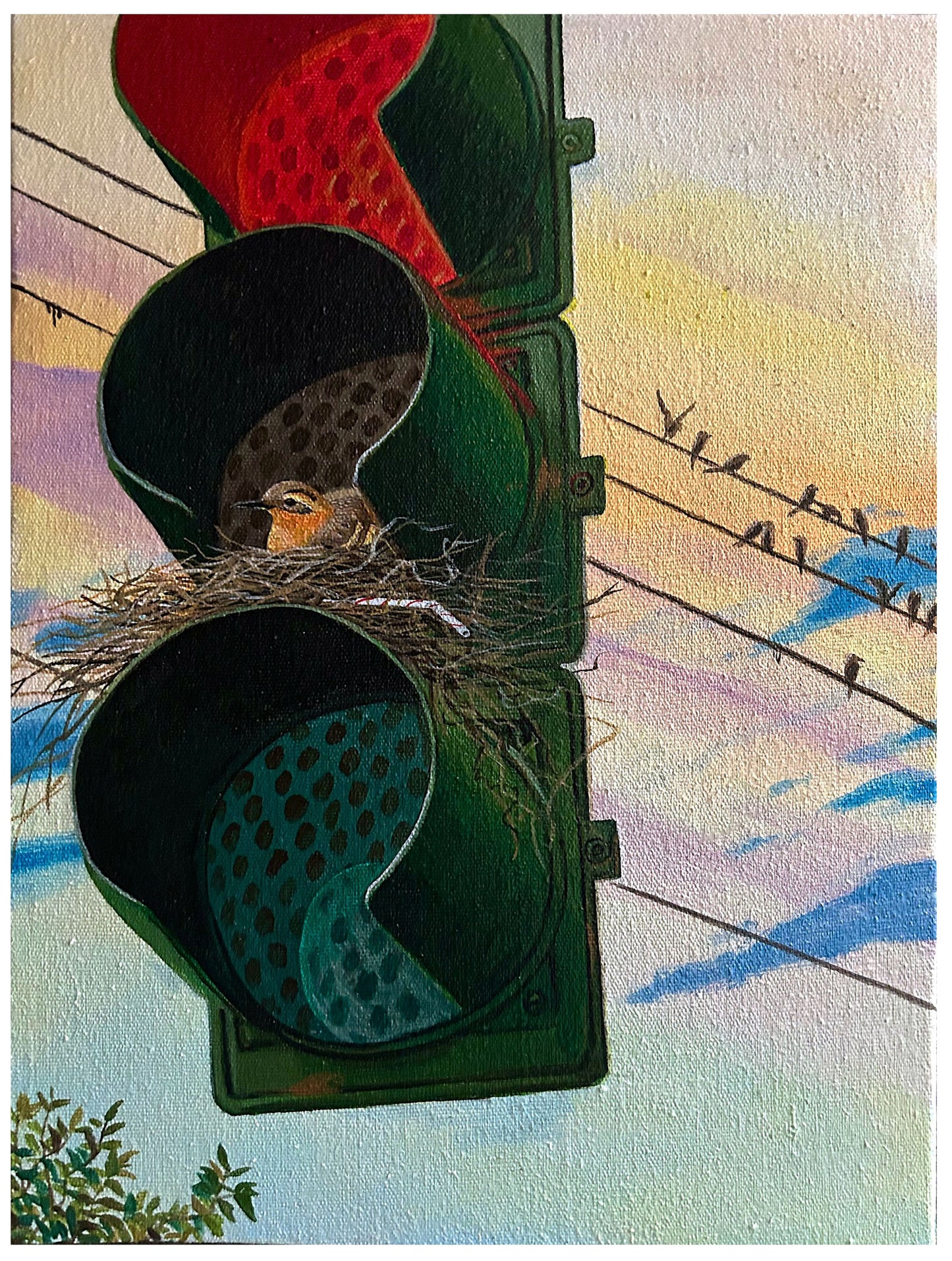 Sandow Birk - Varied Thrush - Acrylic on Canvas