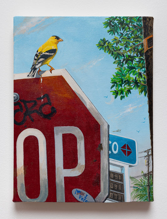Sandow Birk - American Goldfinch - Acrylic on Canvas