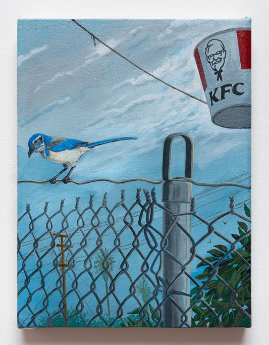 Sandow Birk - Scrub Jay - Acrylic on Canvas