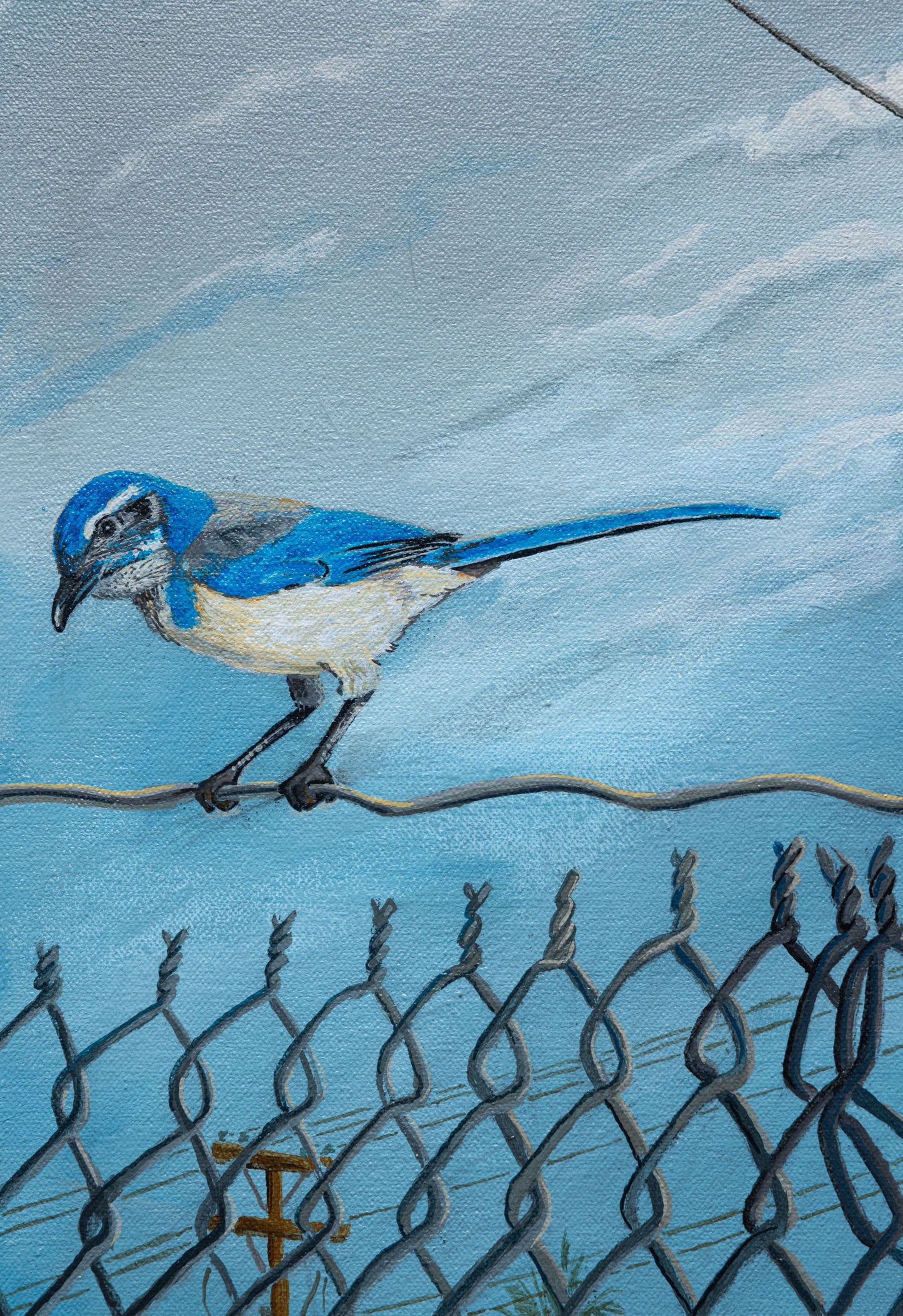 Sandow Birk - Scrub Jay - Acrylic on Canvas