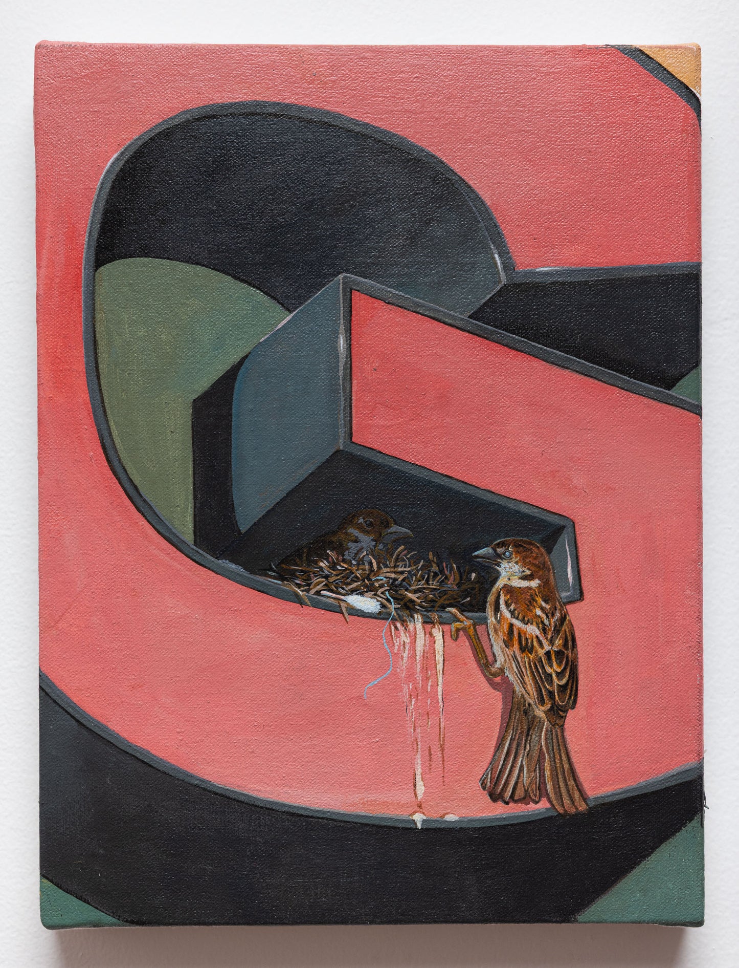 Sandow Birk - House Sparrow - Acrylic on Canvas