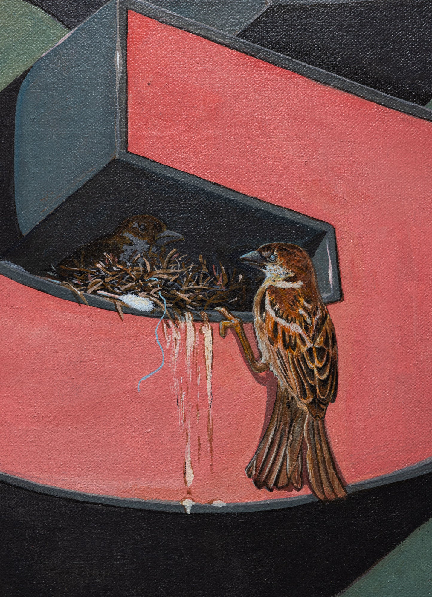 Sandow Birk - House Sparrow - Acrylic on Canvas
