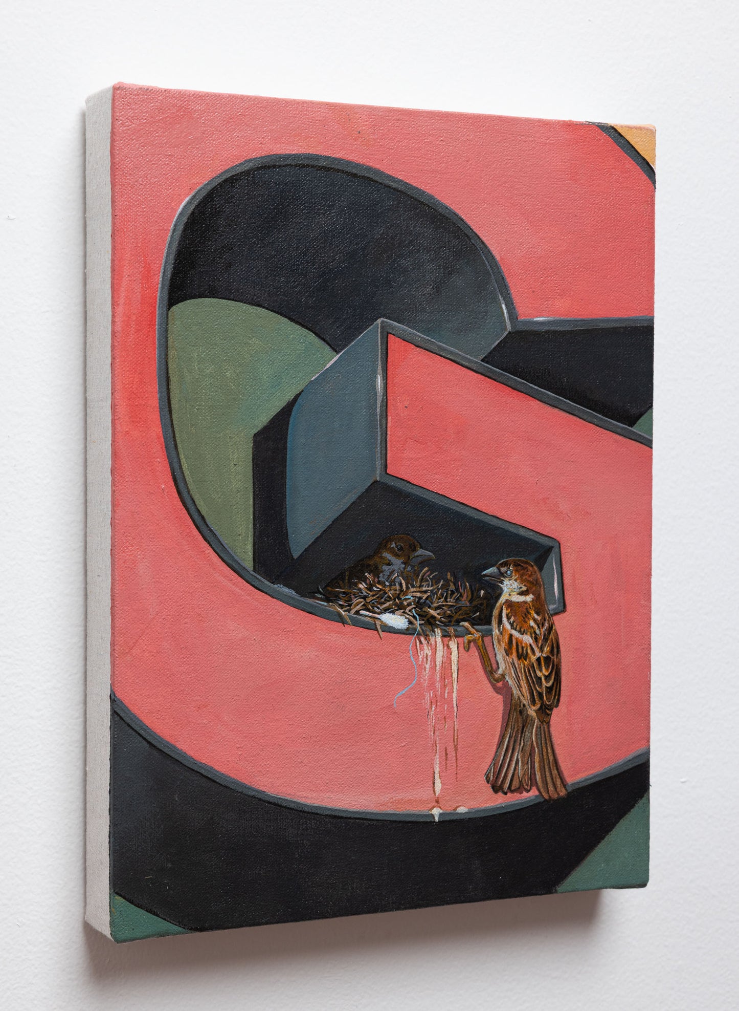 Sandow Birk - House Sparrow - Acrylic on Canvas