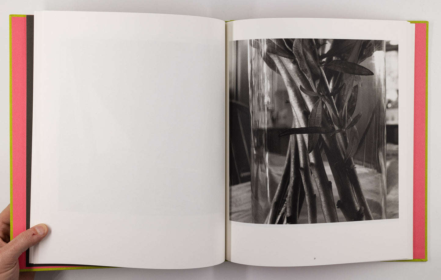 Stems – Lee Friedlander [Signed, 1st Ed.]