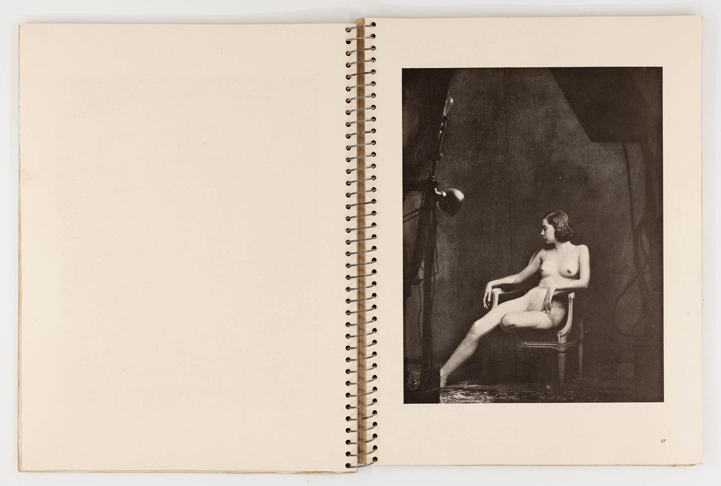 Enchanting Beauty – Alfred Cheney Johnston [1st Ed.]