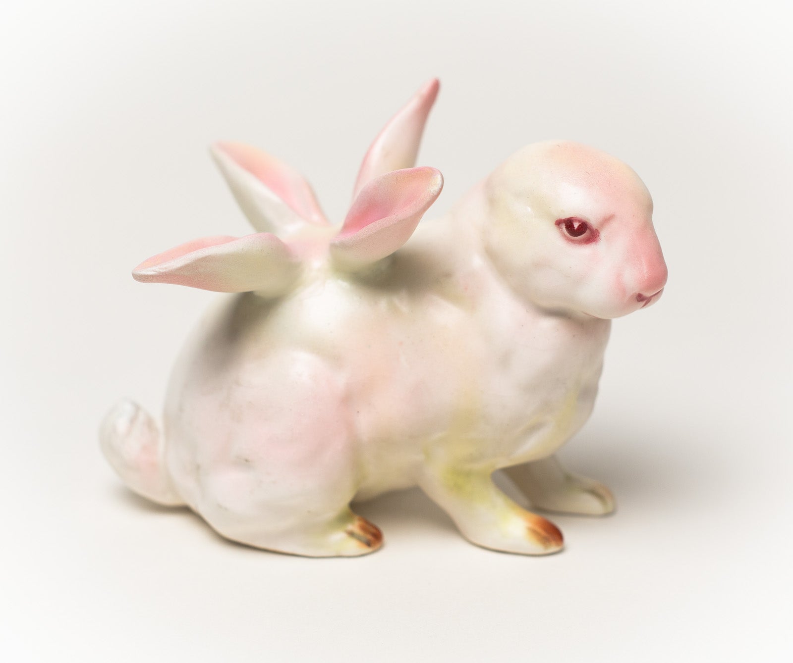 Debra Broz – White Rabbit, No. 13, 2019