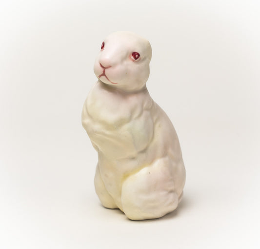 Debra Broz – White Rabbit, No. 25, 2019