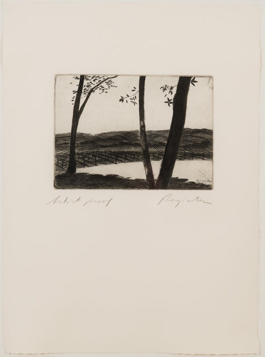 John Register, Untitled (vineyard) - Etching